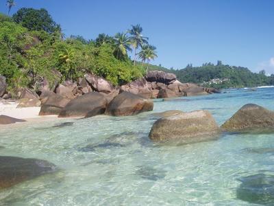 paradis